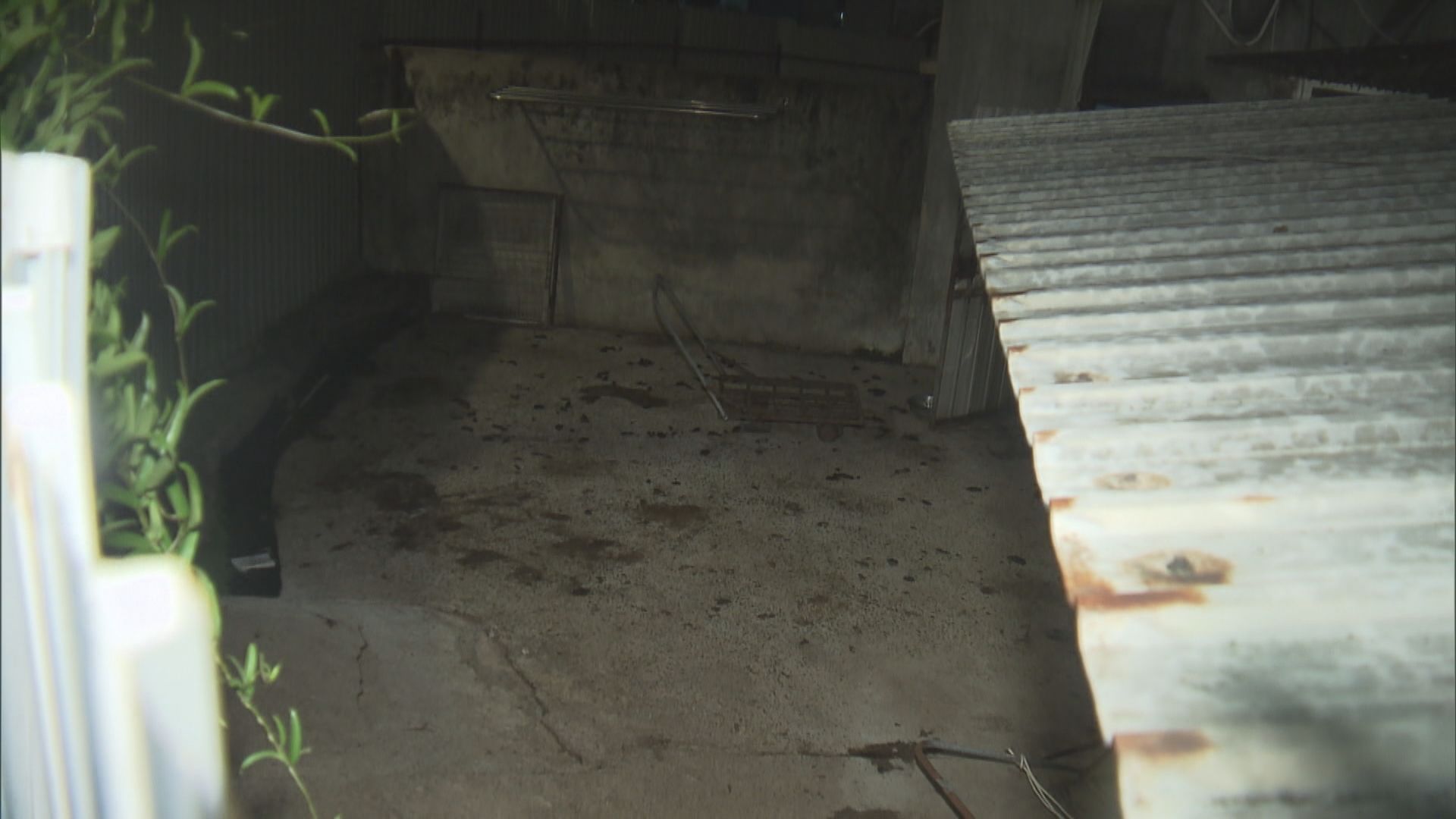 元朗楊屋村男子涉虐狗被警方拘捕