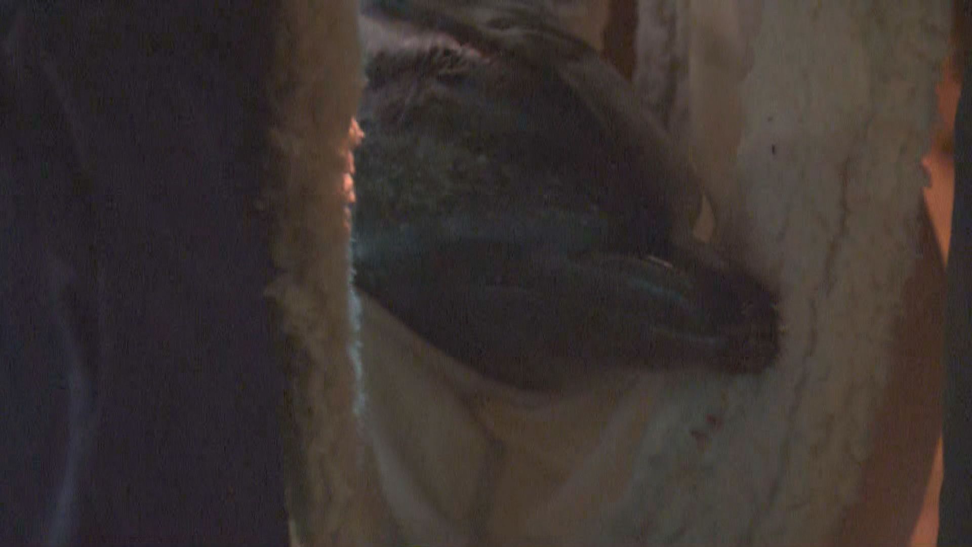 汀九灣泳灘受傷海豚擱淺