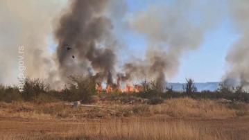 熱浪席捲歐洲多國　南部多國山火　英國多地面臨近50年來最嚴重乾旱