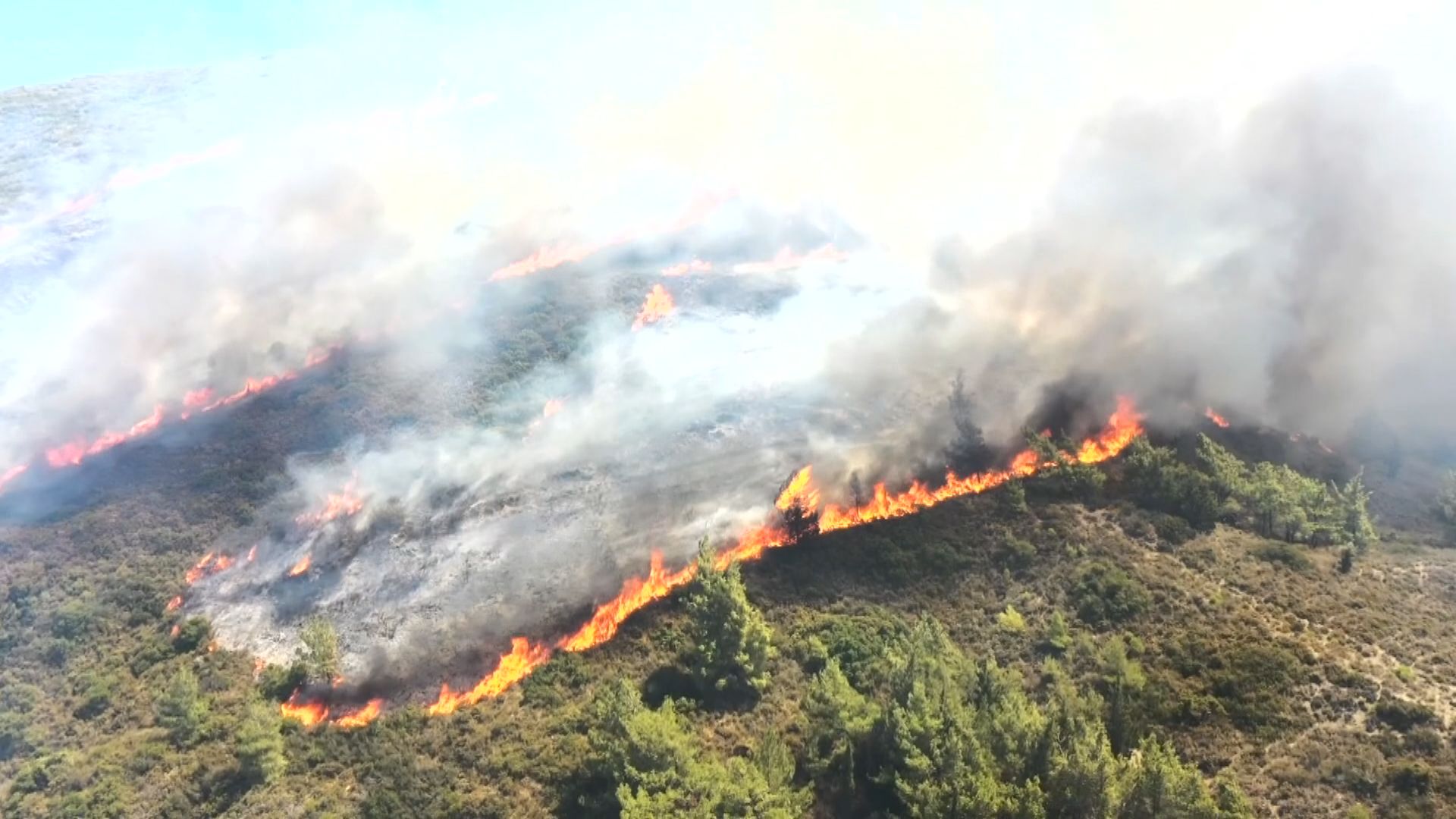 希臘山火導致彈藥庫爆炸 七月將成史上最熱月份