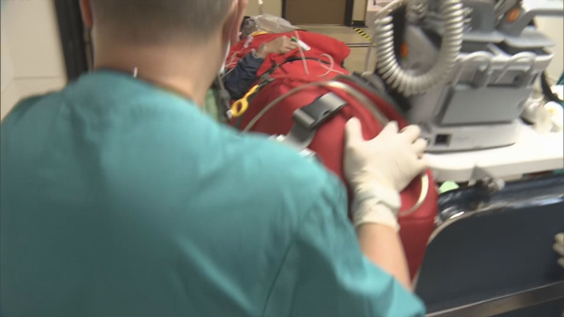 長洲男子攀爬五行石墮下重傷