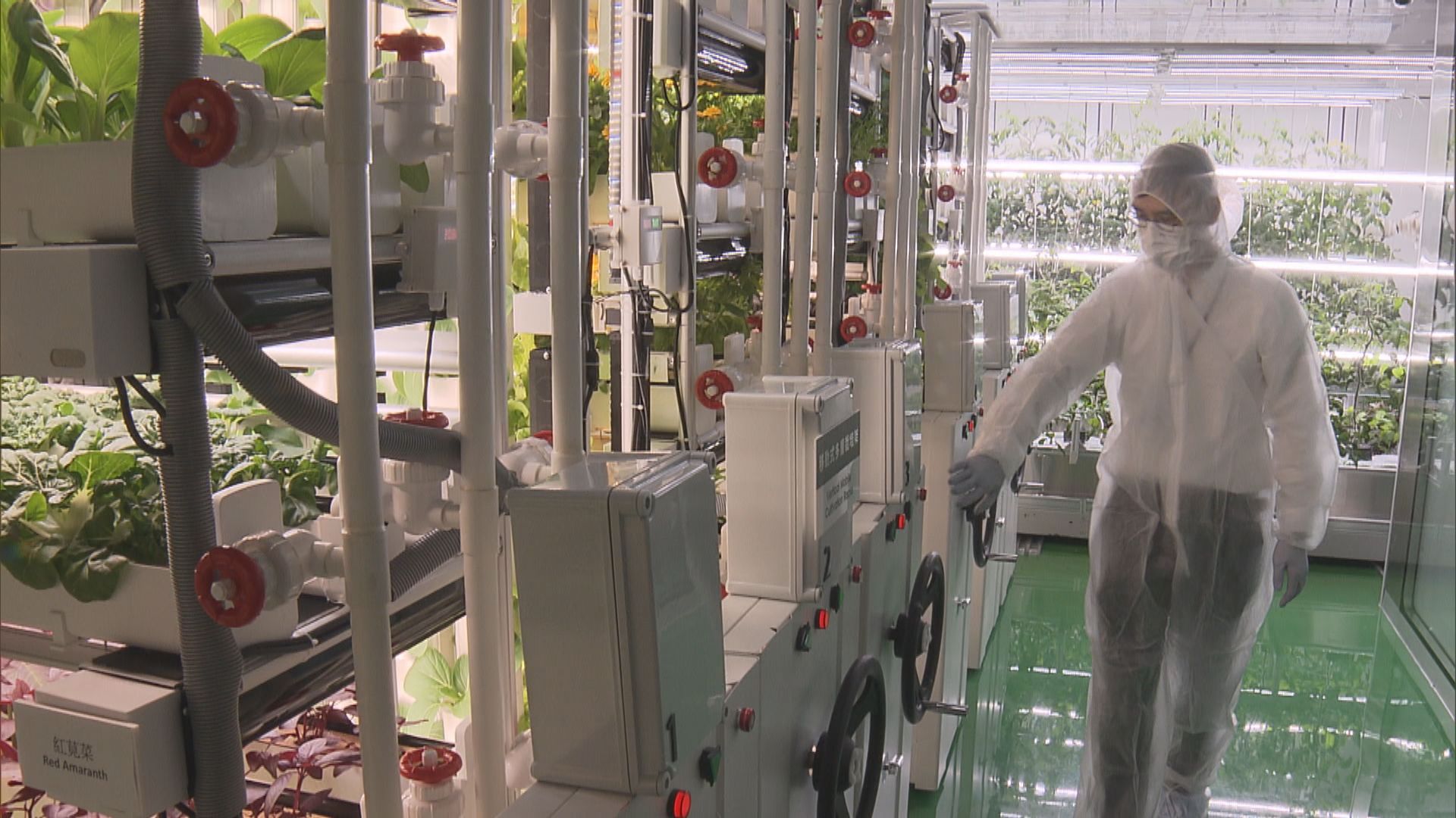 漁護署和蔬菜統營處引入新水耕種植科技