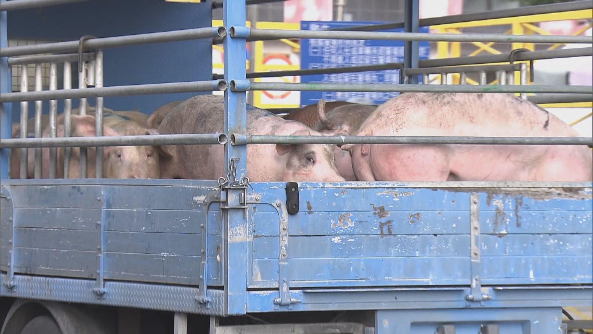 食環署指全力協助安排內地屠宰員來港