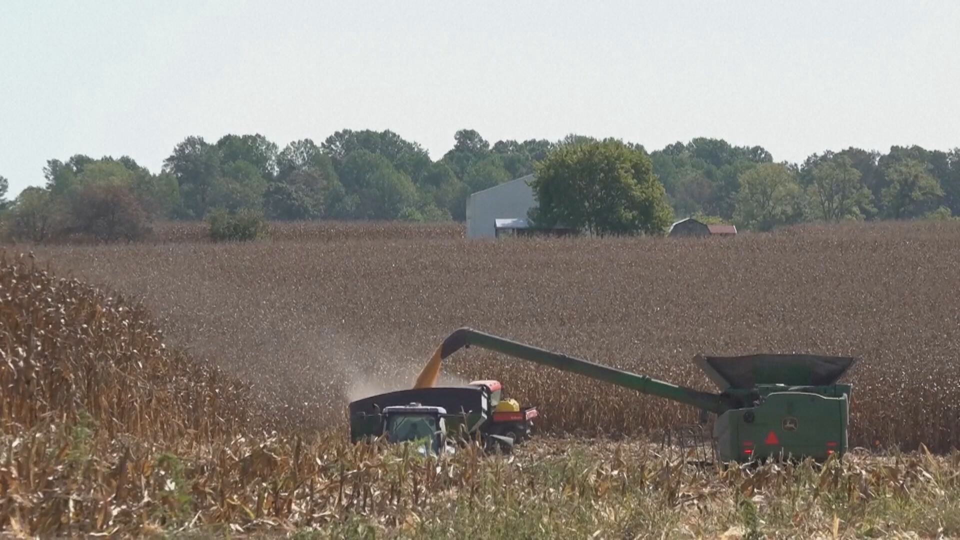 【向南美入貨】中國9月停購美大豆 近7年首見