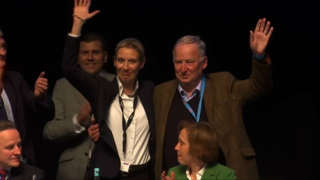 德國極右政黨另選兩代表出戰大選