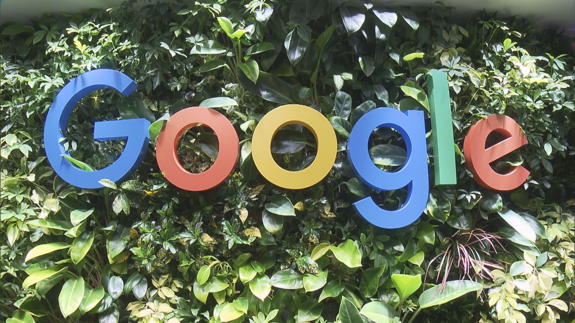 搜尋國歌出現不正確訊息　港府已向Google嚴正交涉要求移除
