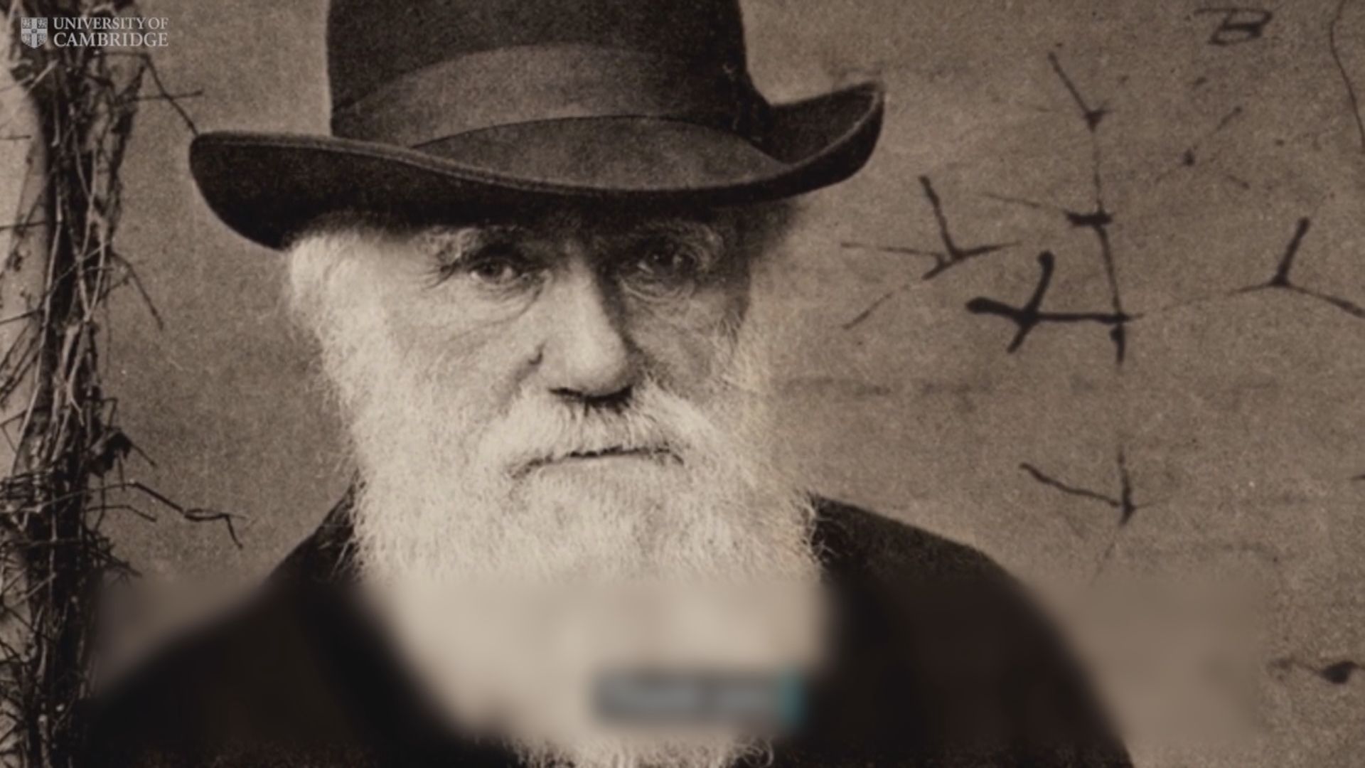 【環球薈報】劍橋大學圖書館兩本達爾文筆記疑失竊