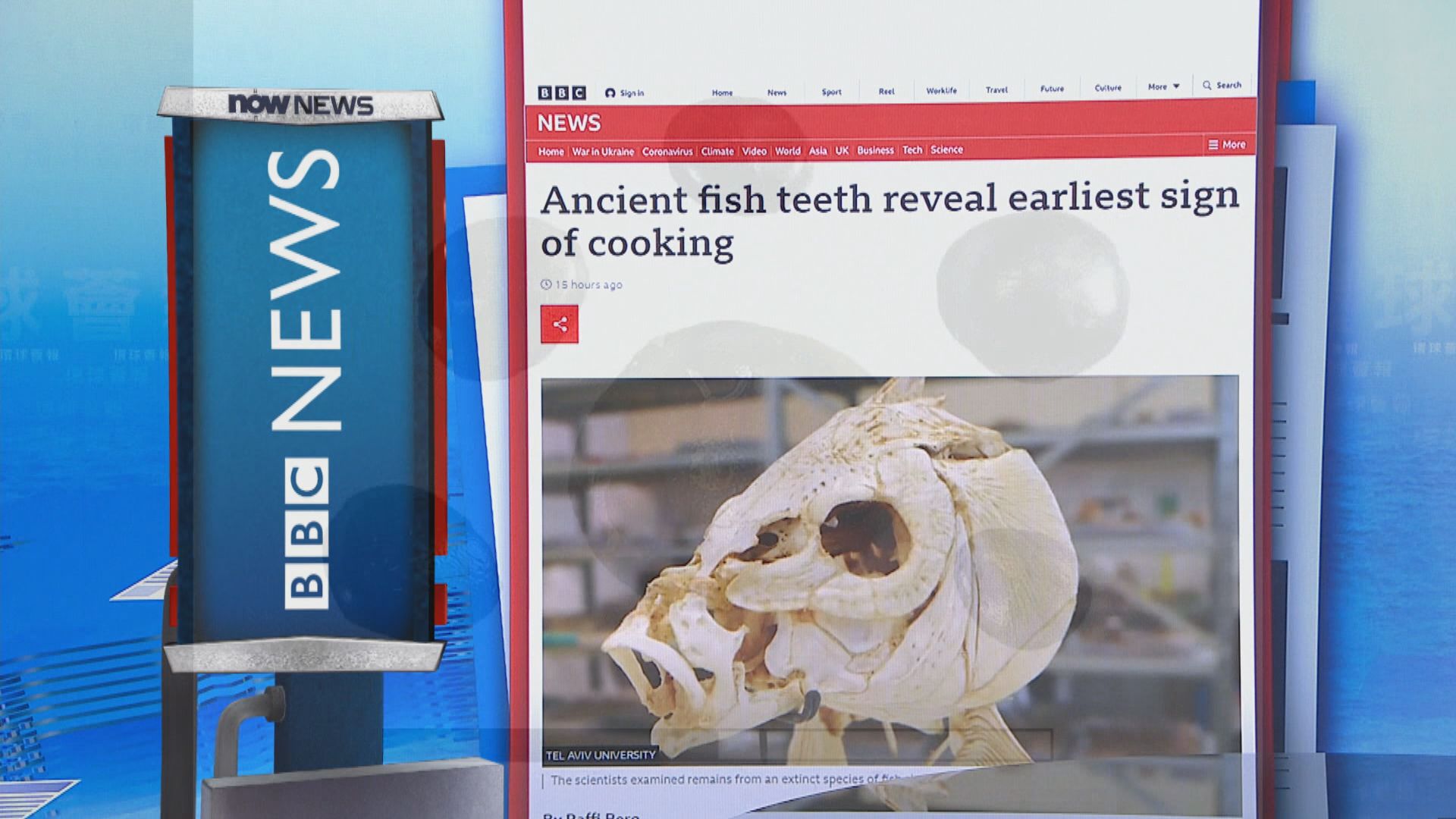 【環球薈報】以色列發現人類最早煮食痕跡