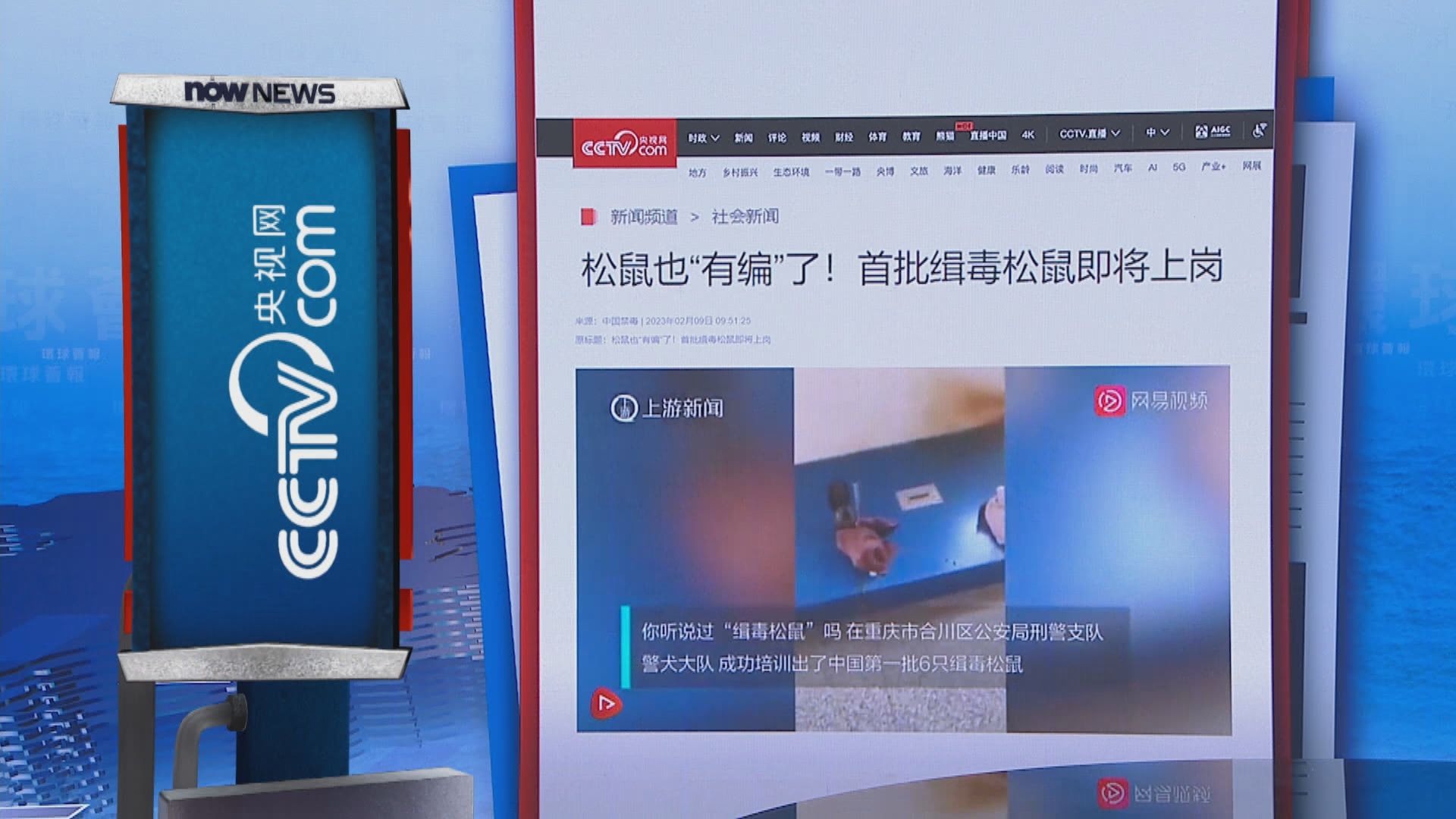 【環球薈報】重慶市訓練出全國首批六隻緝毒松鼠