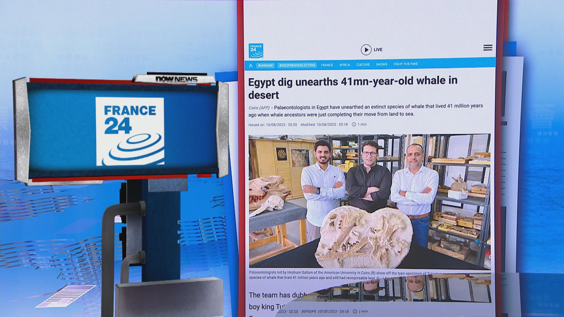 【環球薈報】埃及沙漠發現新品種龍王鯨