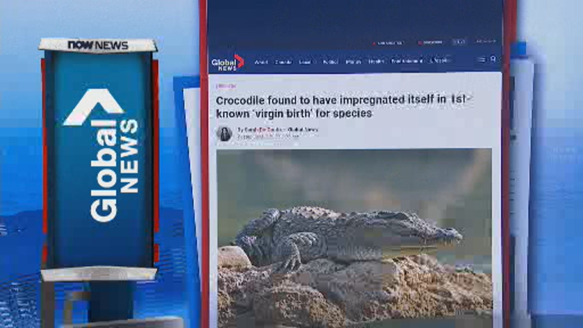 【環球薈報】哥斯達黎加鱷魚單性生殖為全球首例