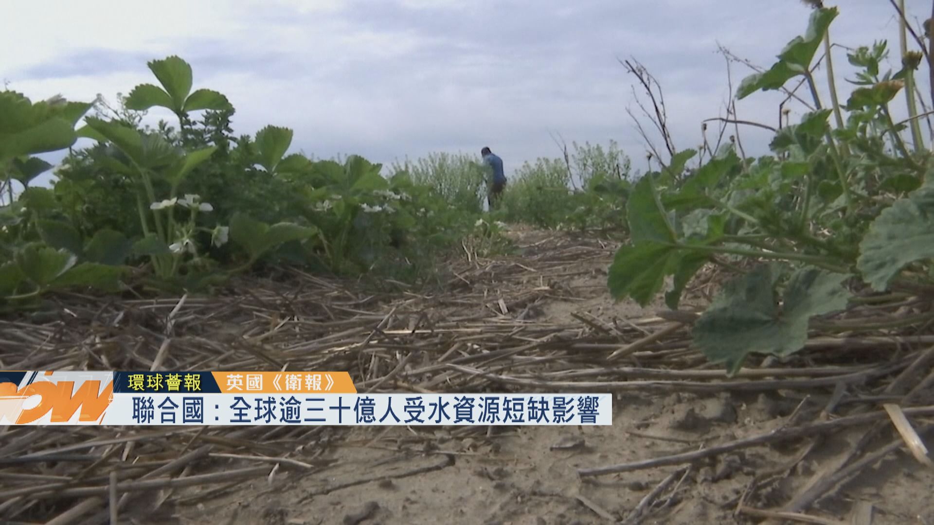 【環球薈報】聯合國：全球逾三十億人受水資源短缺影響