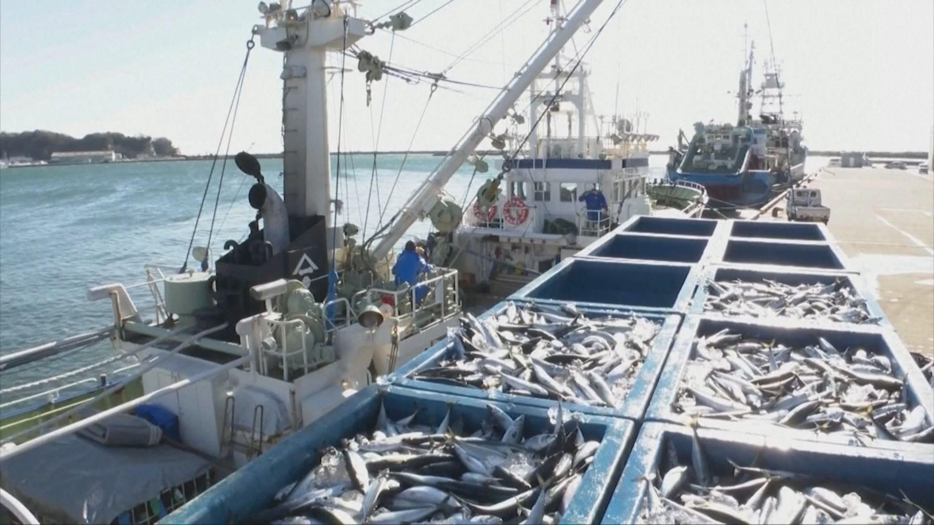 【環球薈報】研究指有漁船關閉定位系統隱瞞非法捕魚