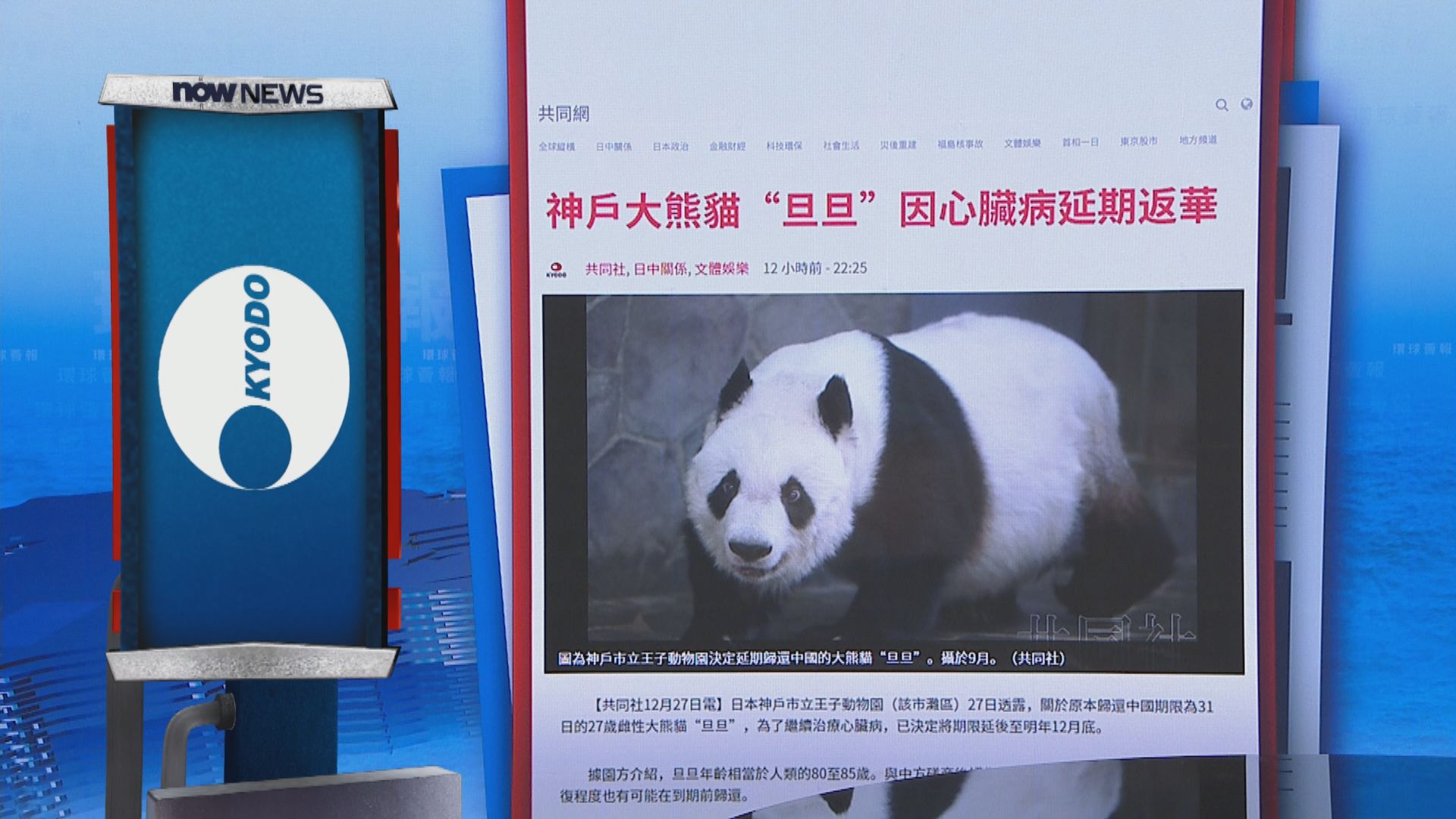 【環球薈報】旅日大熊貓旦旦因心臟病延遲歸還中國