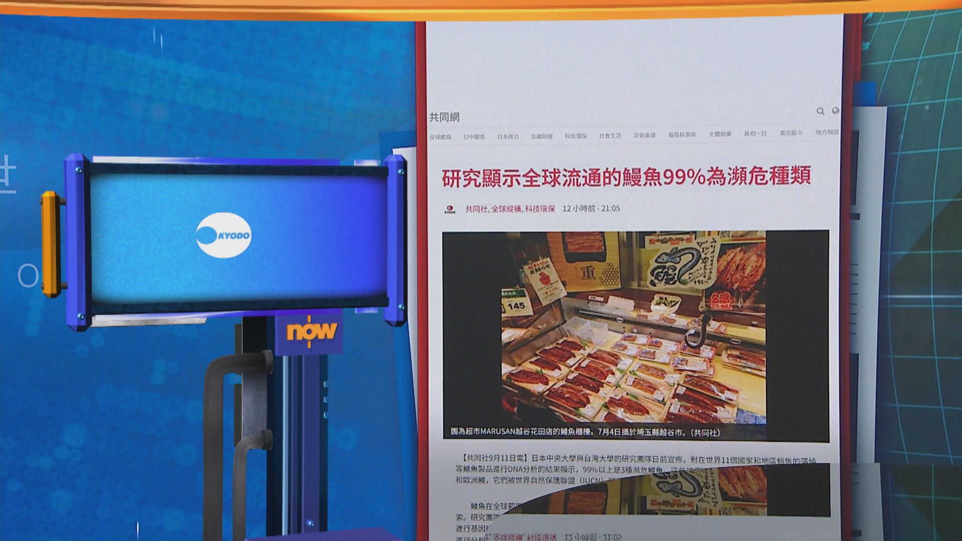 世味天下｜研究顯示全球流通鰻魚99%屬瀕危物種