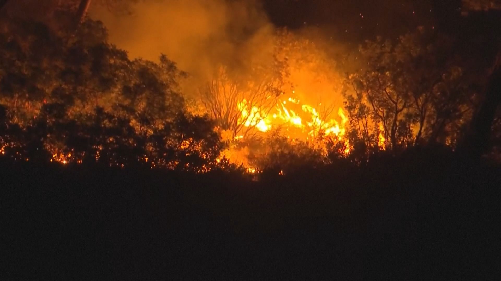 希臘羅得島山火持續 一萬九千人疏散