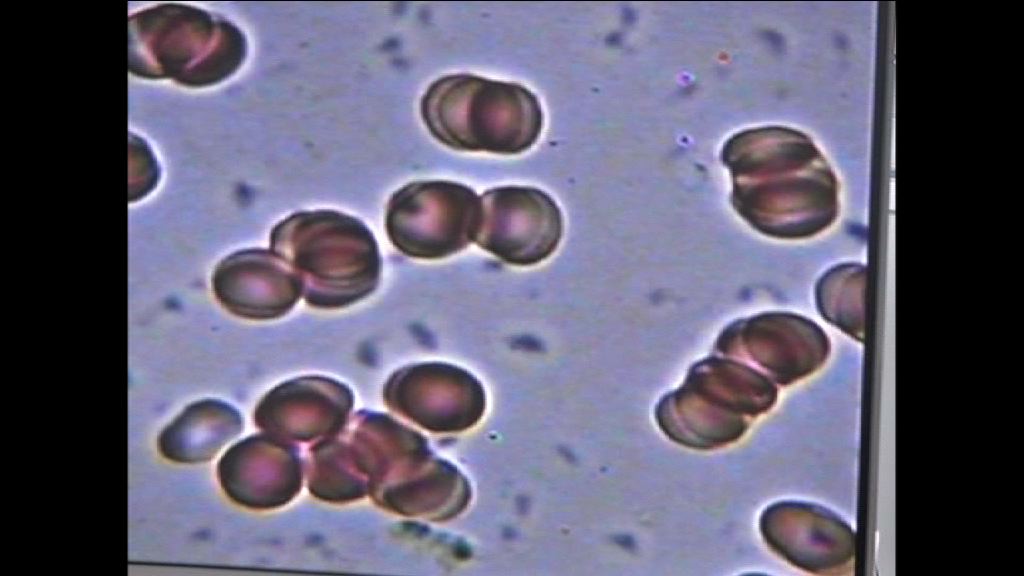 【一周財經熱話】基因行業是搖錢樹？