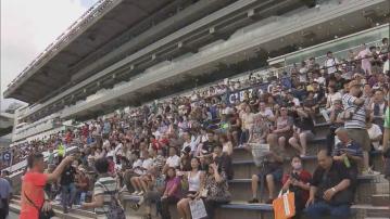 馬季煞科日在沙田馬場舉行 馬會表示今季總投注額達1347億元 較上年度減少4.5%
