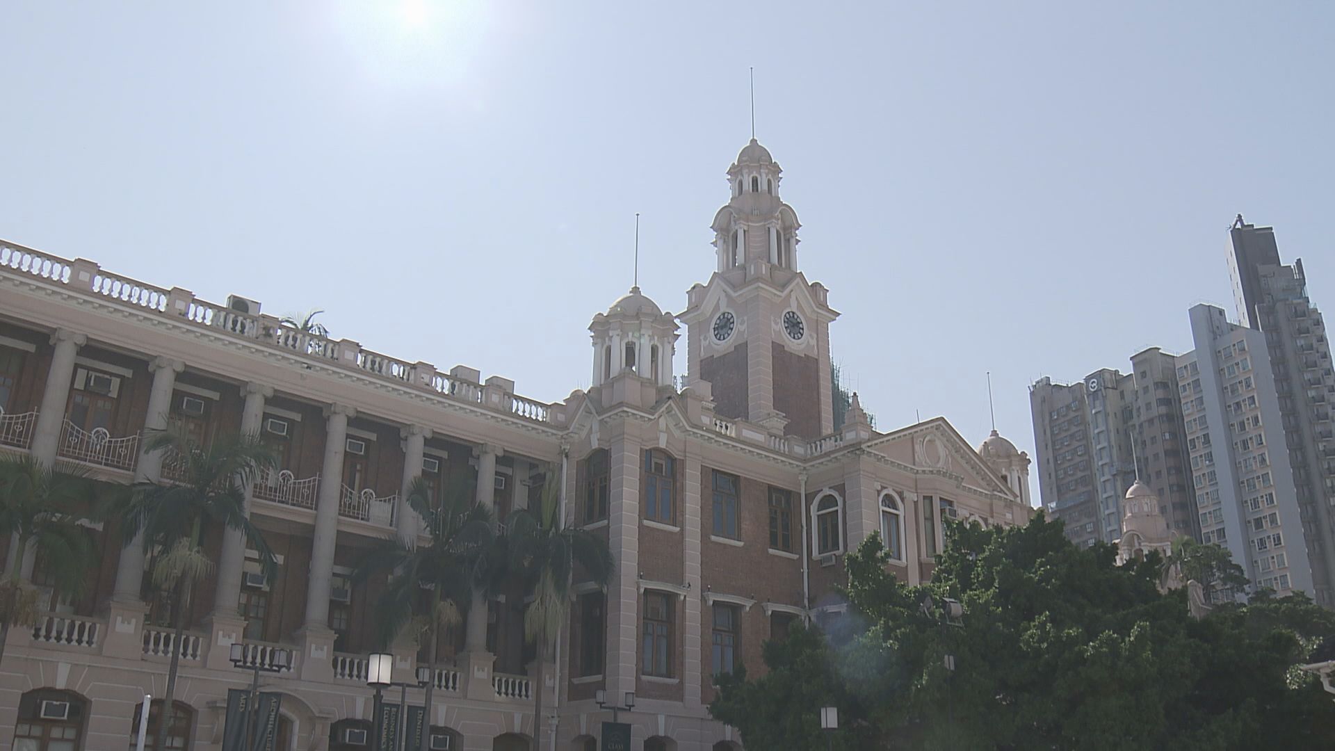 港大發現全球首宗人類感染大鼠戊型肝炎