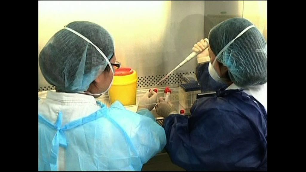 港大發現H7N9基因突變