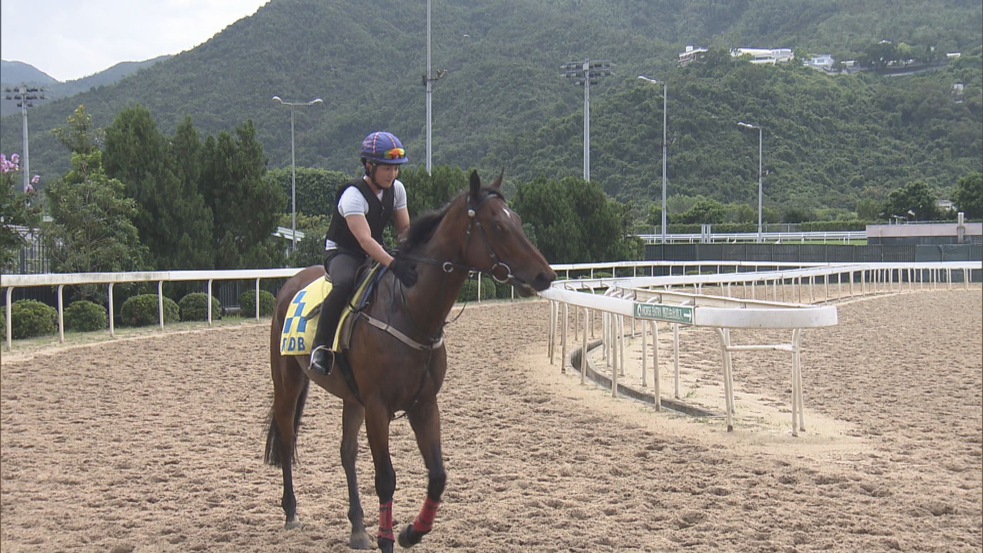 馬會見習騎師學校招募學員 毋須經驗身高不設限