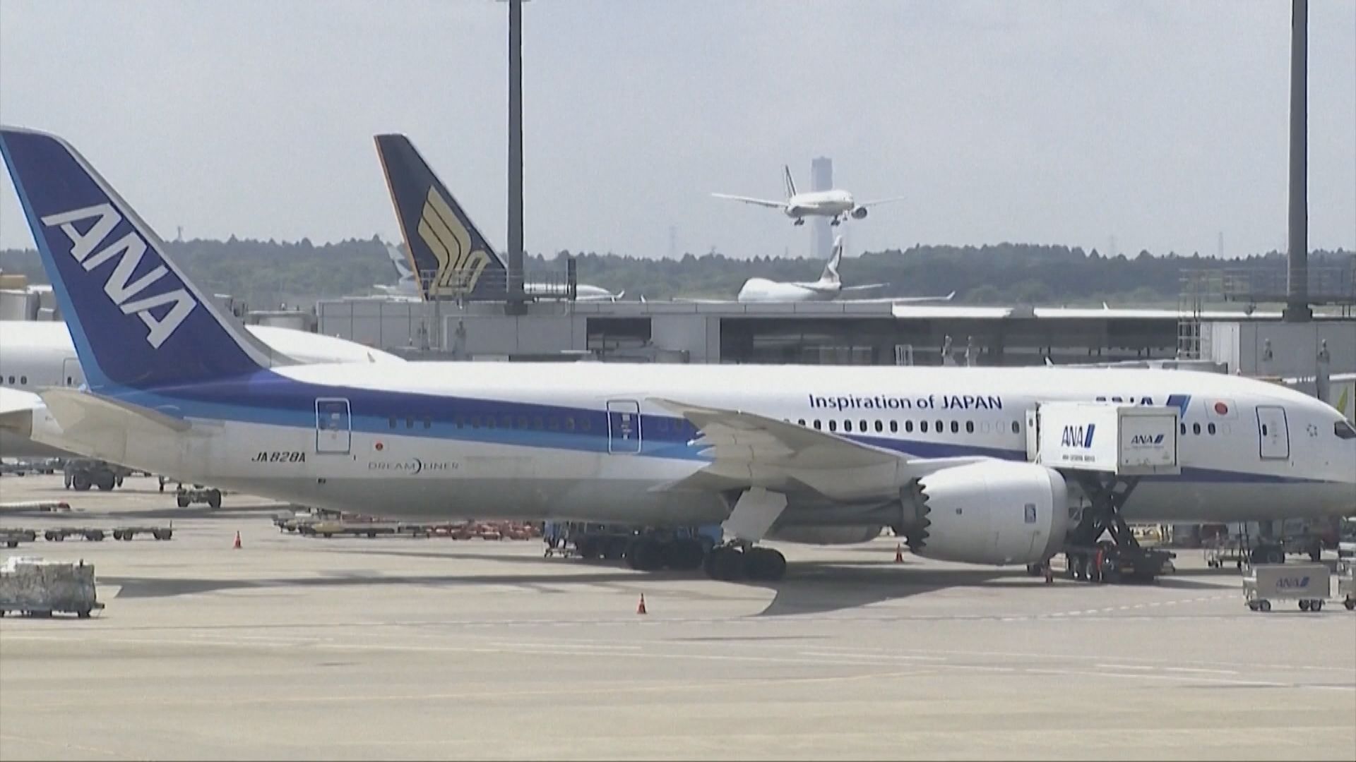 IATA料全球航空業明年有望轉虧為盈