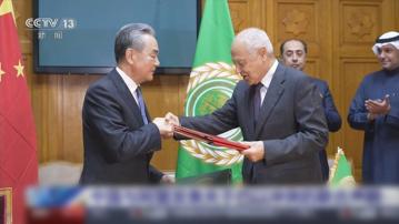 王毅就巴以局勢分別與阿盟秘書長及埃及發表聯合聲明