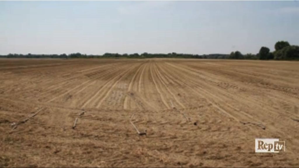 意大利旱情嚴重　農作物嚴重失收