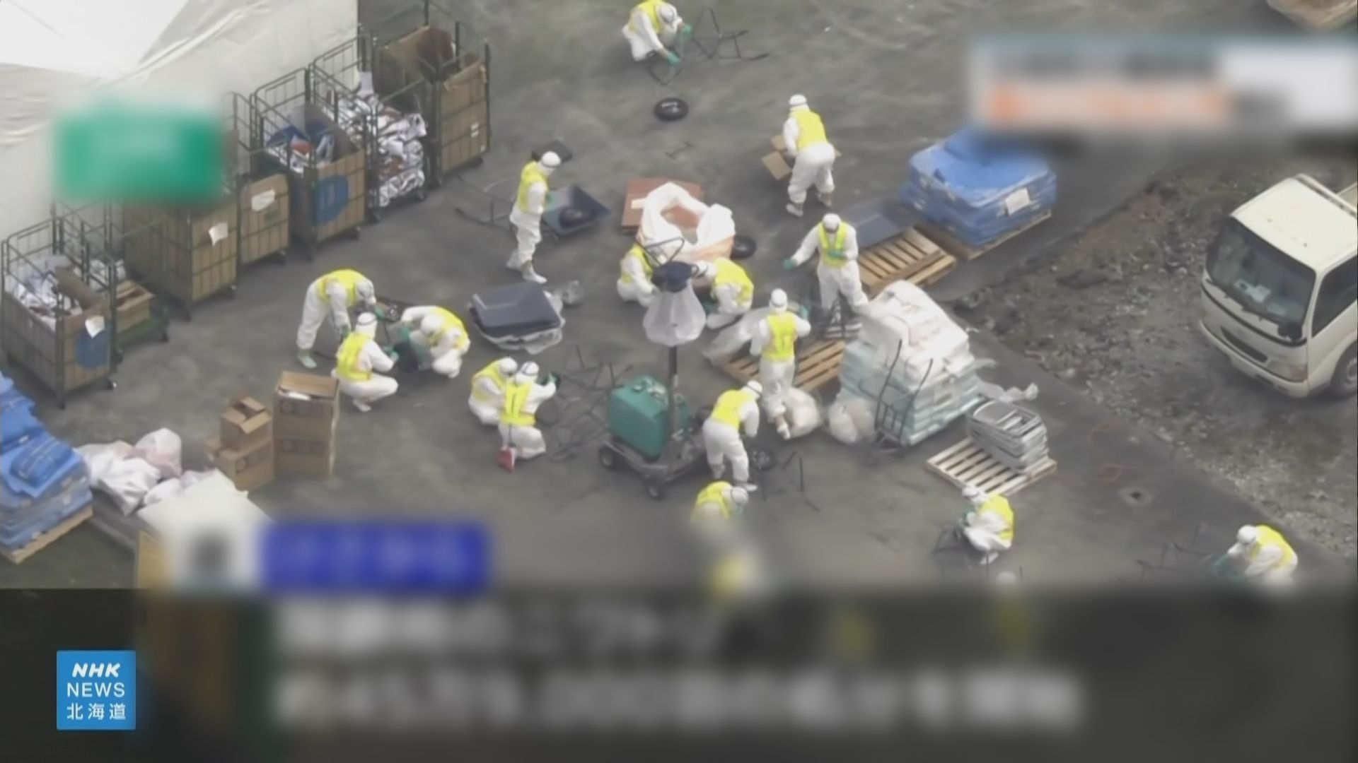 日本爆今季首宗禽流感疫情　北海道白老町撲殺46萬隻蛋雞