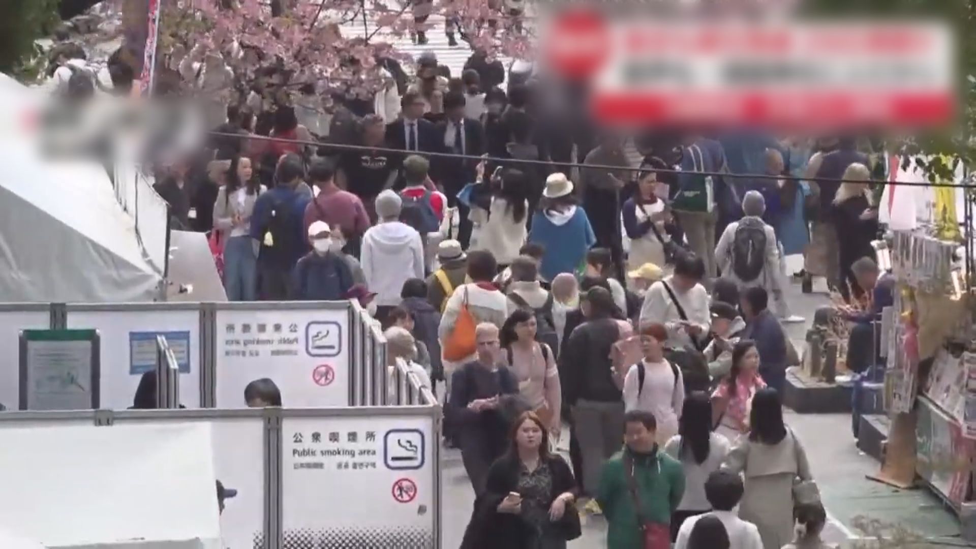 2025日本櫻花｜餐飲旅遊業訂單急增　專家料將創造逾700億港元收益