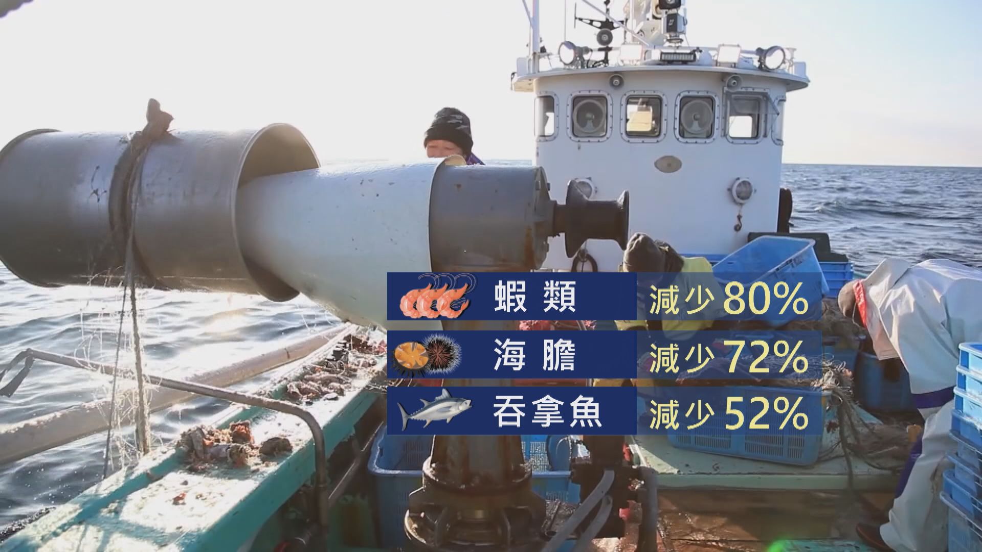 日本漁獲創新低　專家倡制定保護水產資源政策