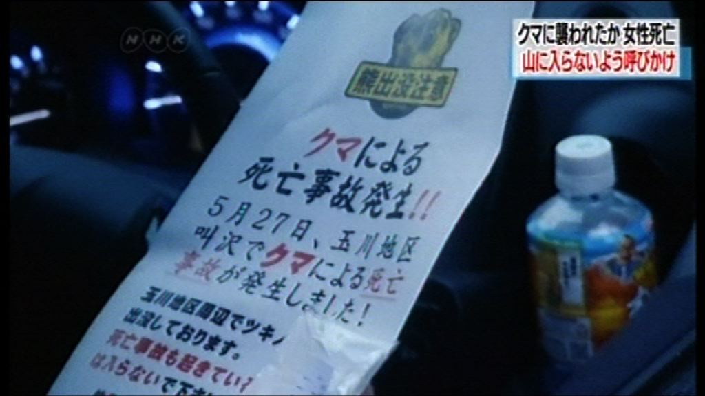秋田縣一名女子遭熊襲擊喪生