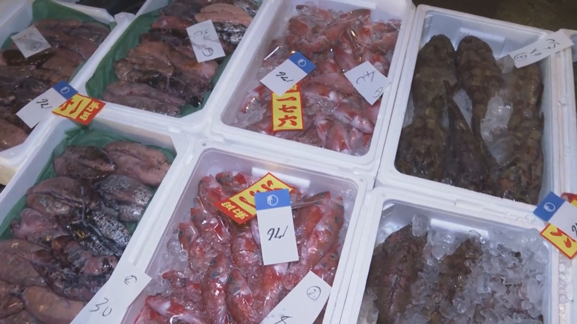 日本9月對華水產品出口額大跌九成