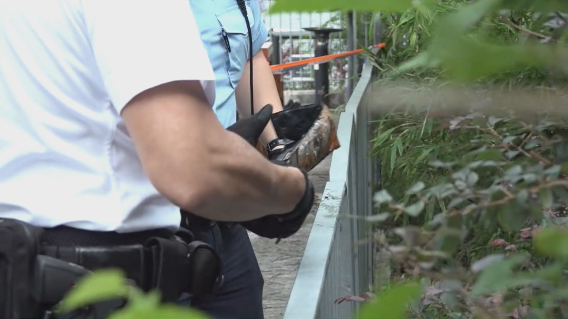 西九文化區草叢檢獲三把刀