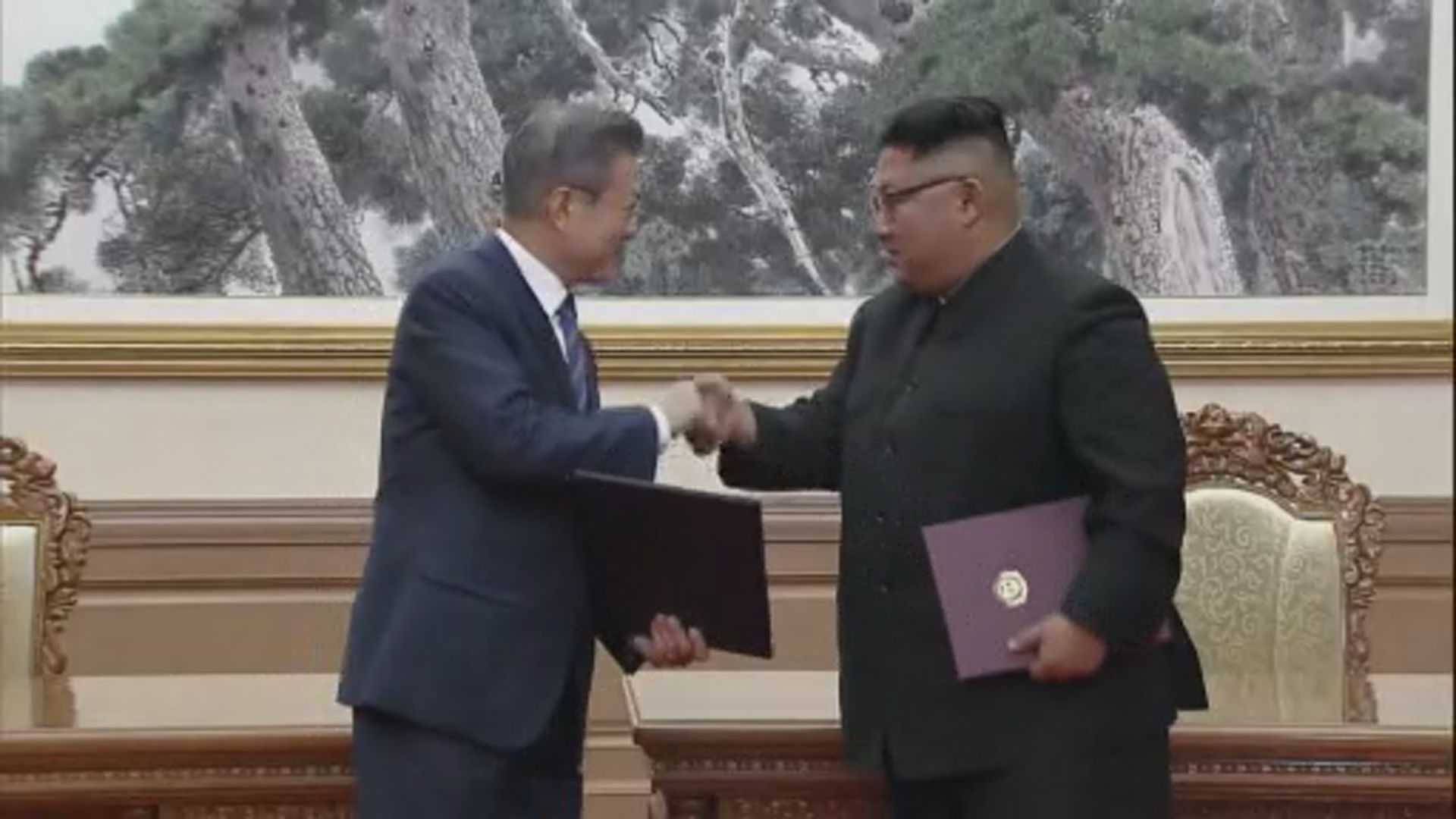 金正恩或11月下旬訪首爾