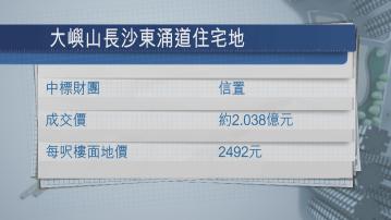 信置以約2.03億元「獨得」大嶼山長沙住宅地
