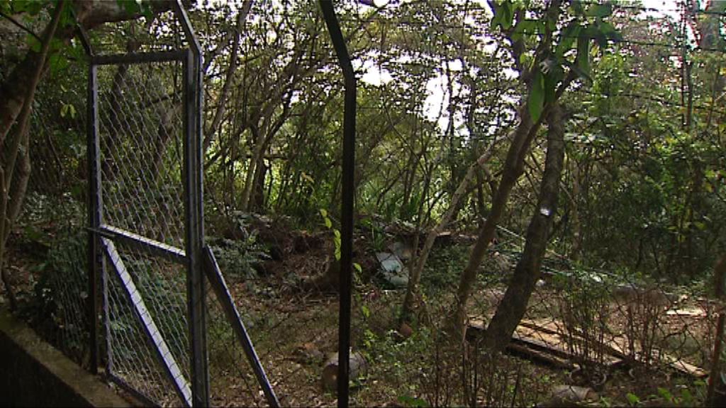 赤柱黃麻角道住宅地中午截標