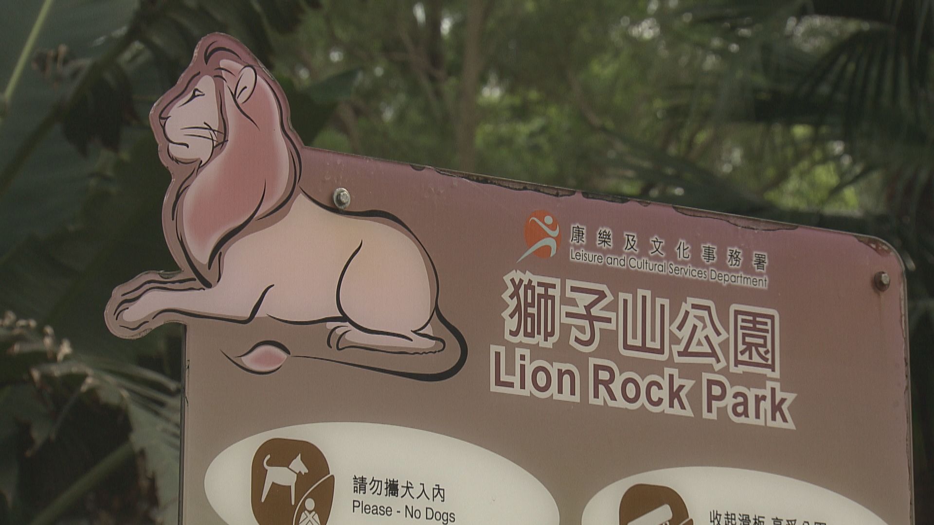 獅子山公園周六重新開放