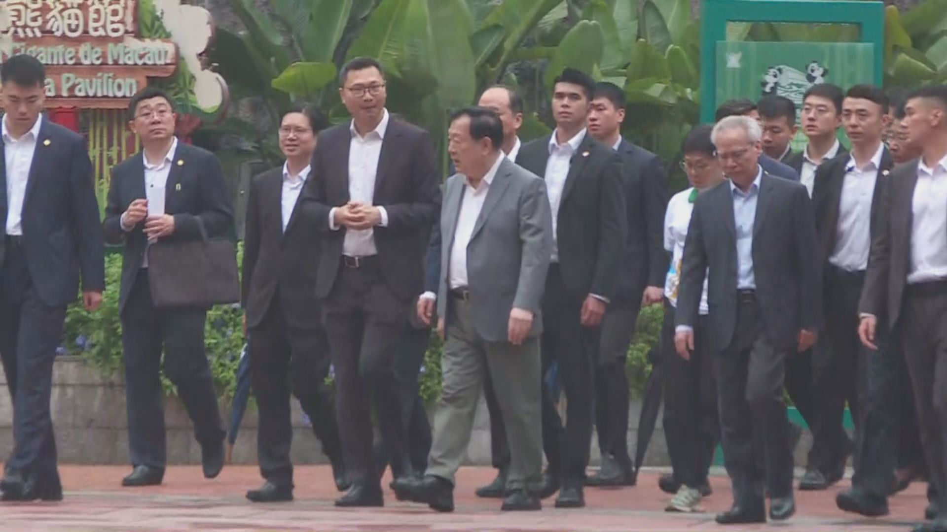 夏寶龍澳門調研第三日　訪路環石排灣大熊貓館　到長者公寓飲茶