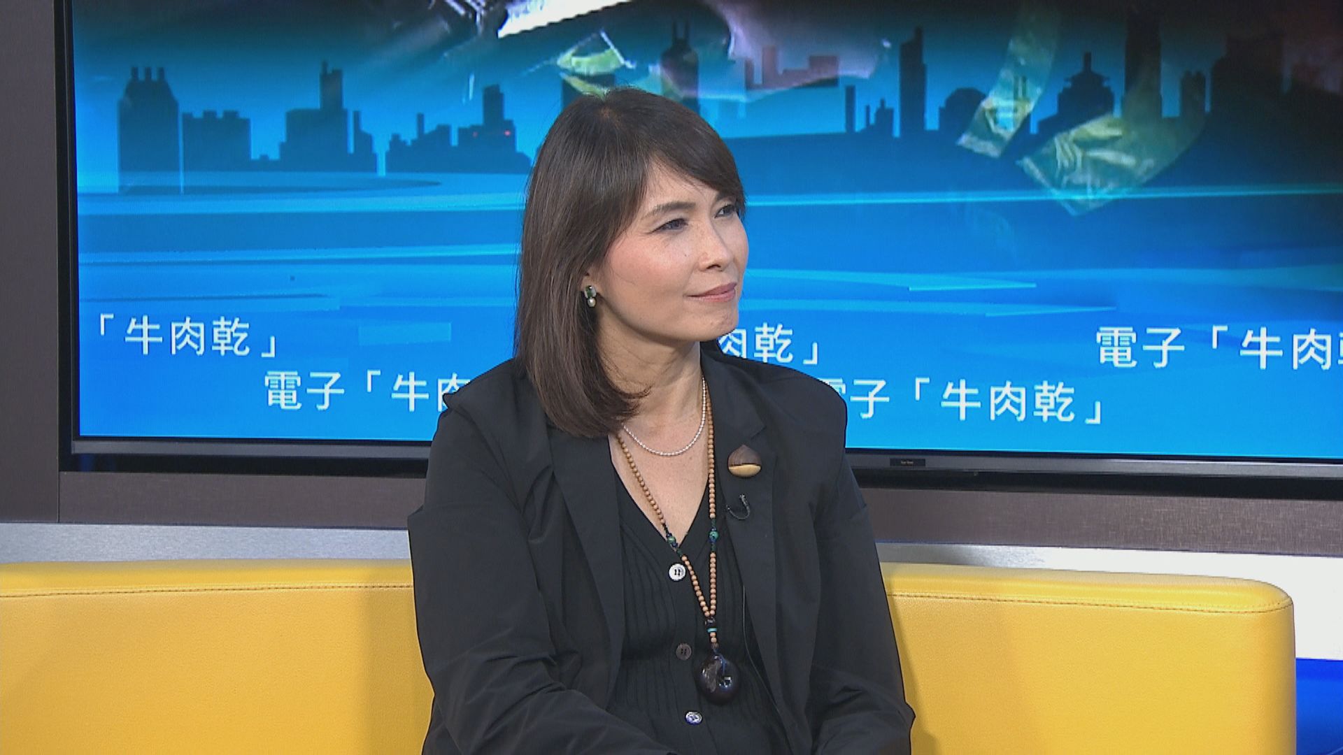 電子「牛肉乾」｜交通告票下月中起逐步實施　江玉歡憂影響阻嚇性