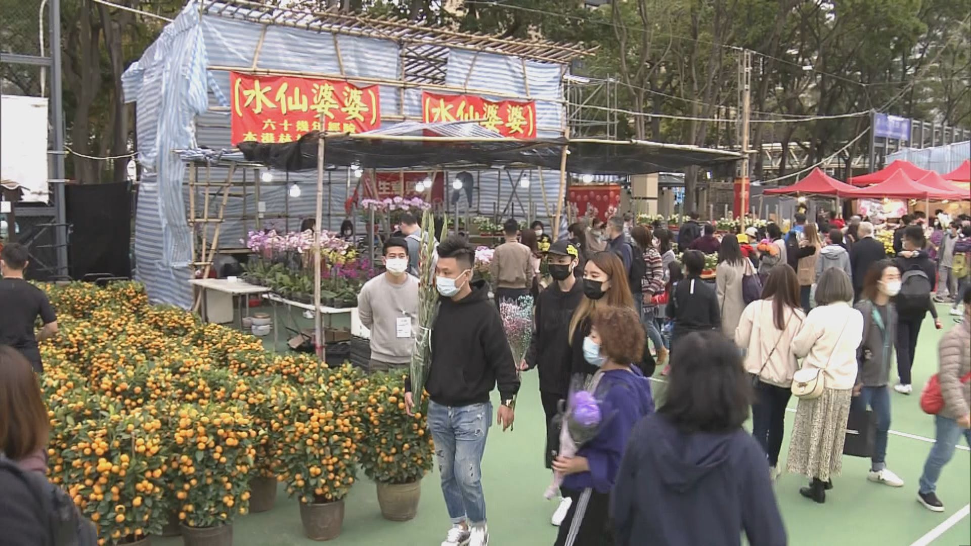 花市最後一天　巿民到維園選購年花