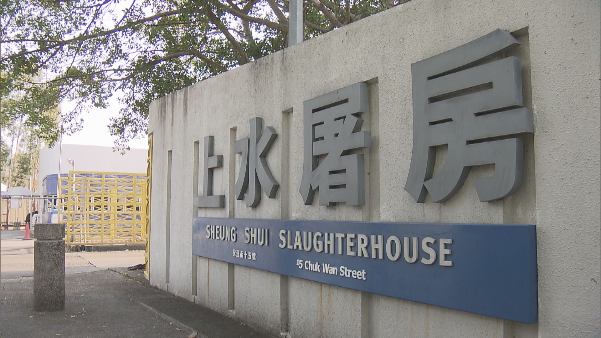 部分來港支援上水屠房運作屠宰人員返回內地