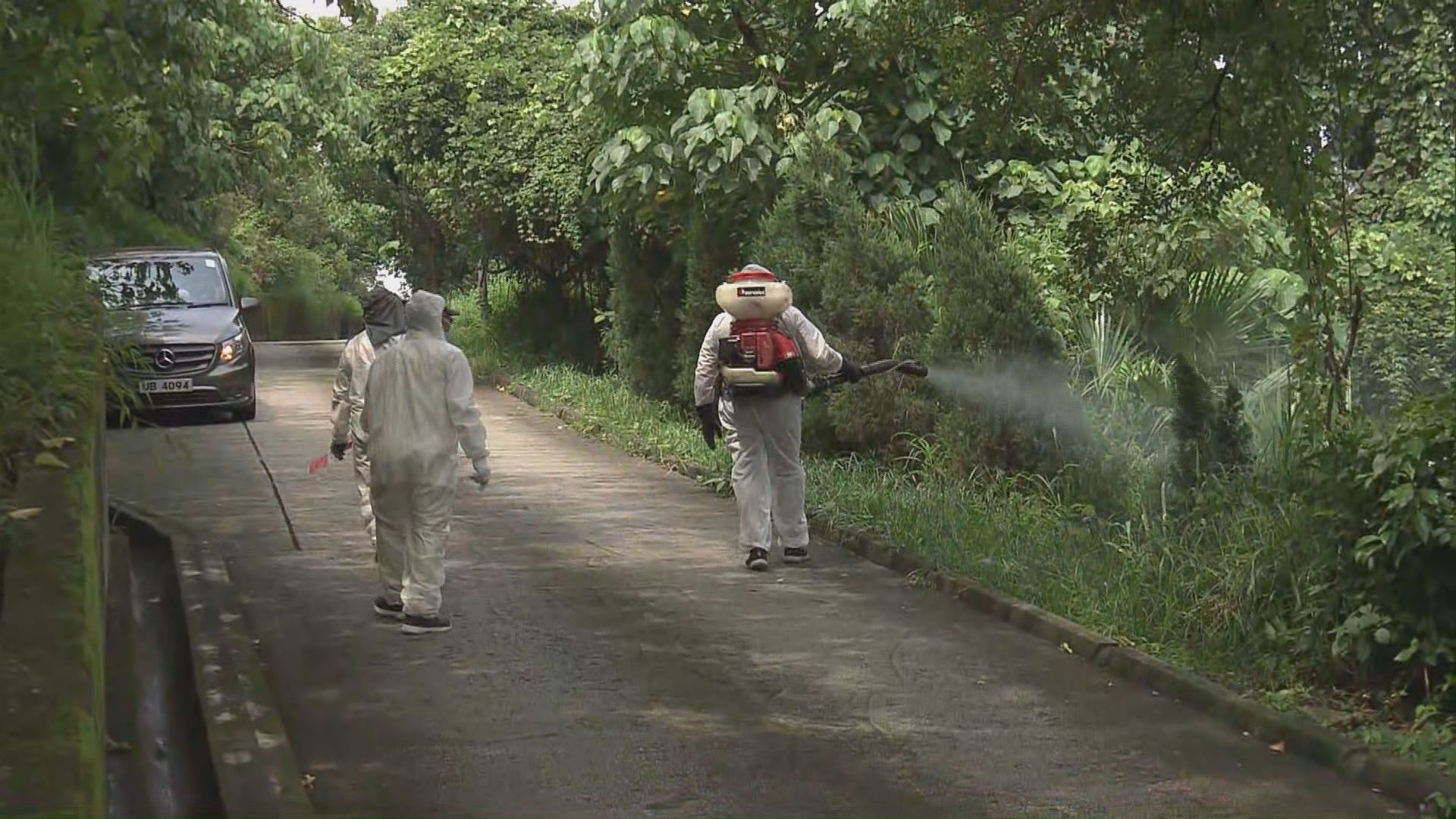 消息：本地登革熱增至20宗