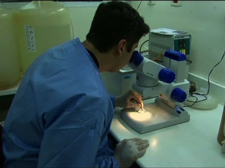 美研製出基因改造蚊子抗瘧疾