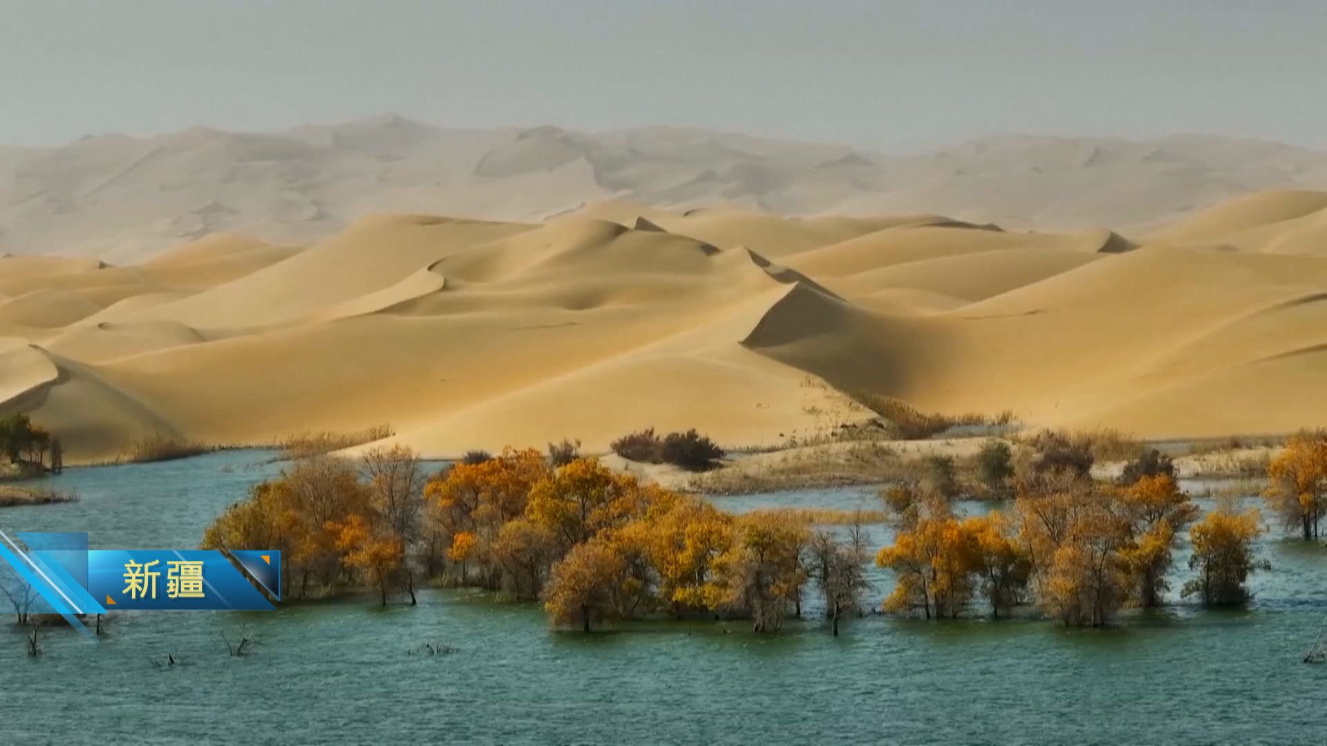 MV共賞｜廿四節氣霜降　內地由秋入冬景色美不勝收