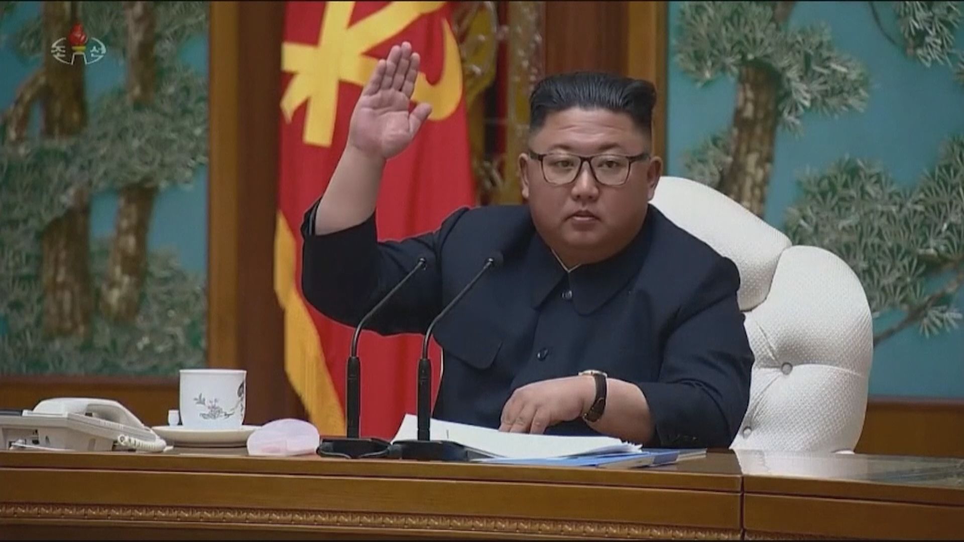 有報道指金正恩手術後情況危重