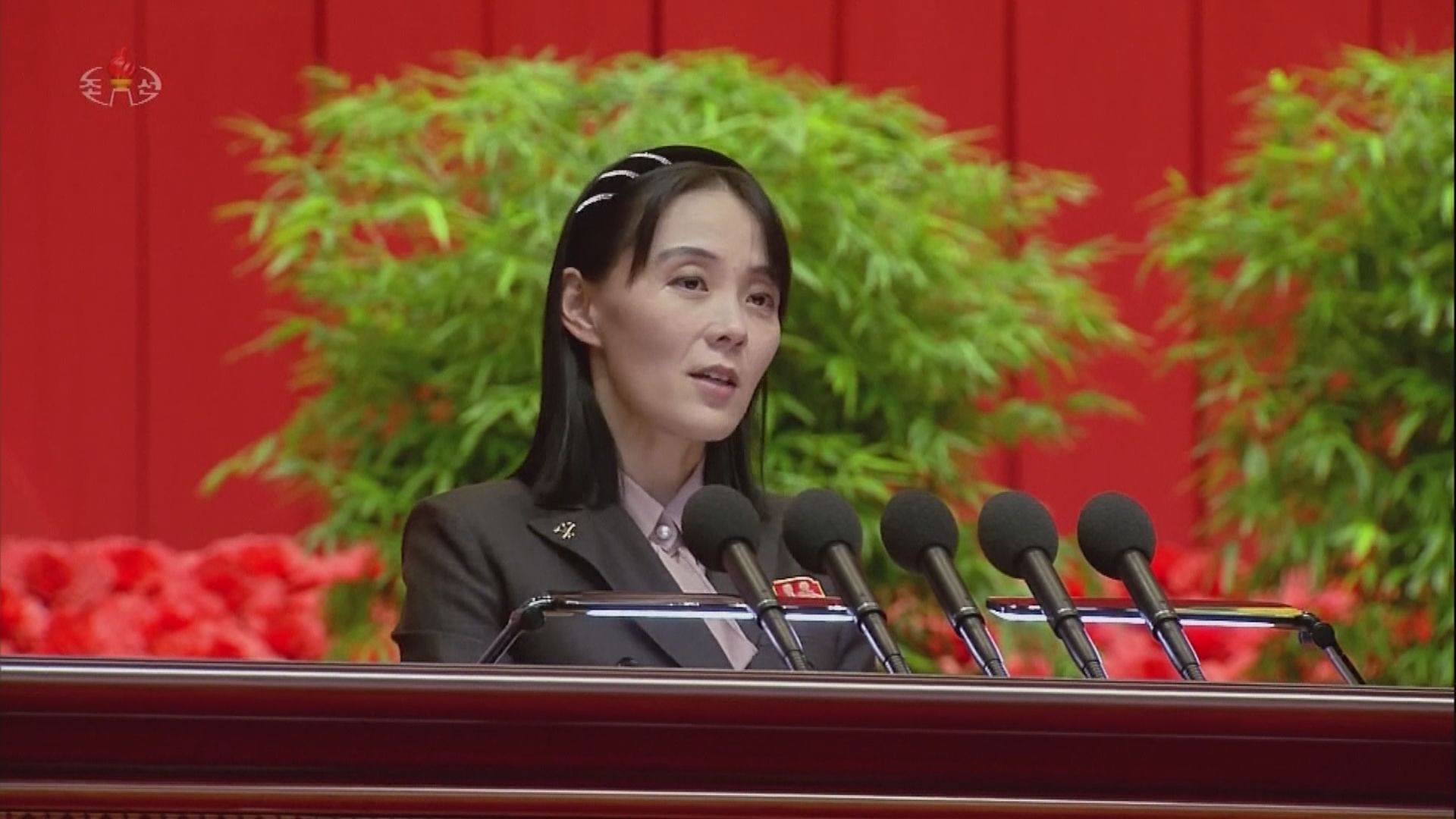 金與正：《華盛頓宣言》將令東北亞瀕臨更嚴重危險