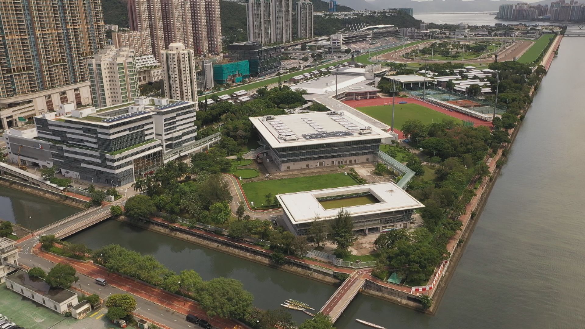 運動員資助|傷患懷孕可失資助金? 機制三大條件保護網一文睇晒
