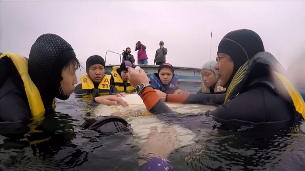 【經緯線】STEM UP(一)