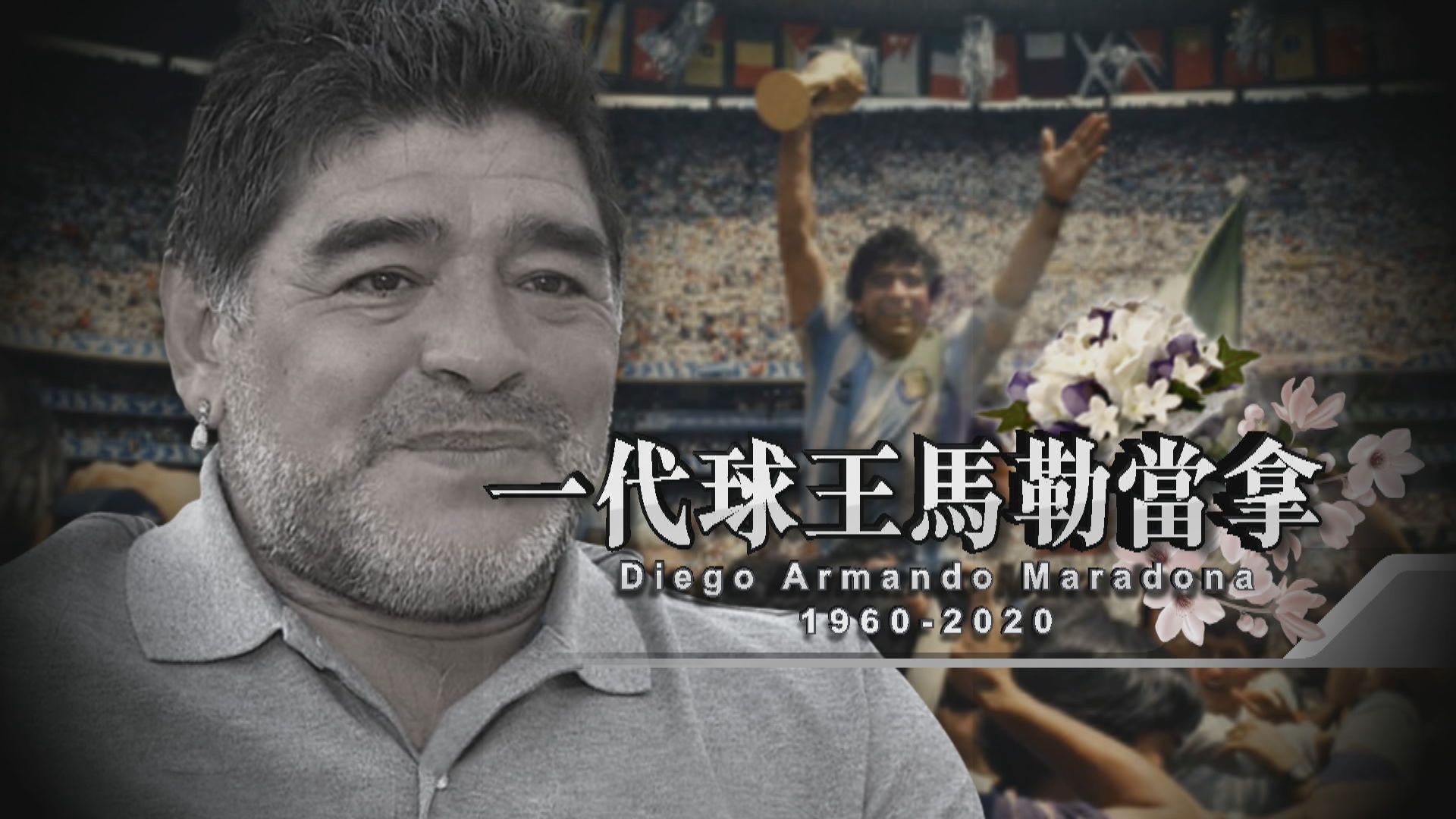 【新聞智庫】一代球王馬勒當拿
